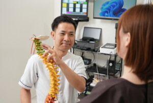 骨格模型を使った説明