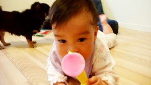 赤ちゃんの写真